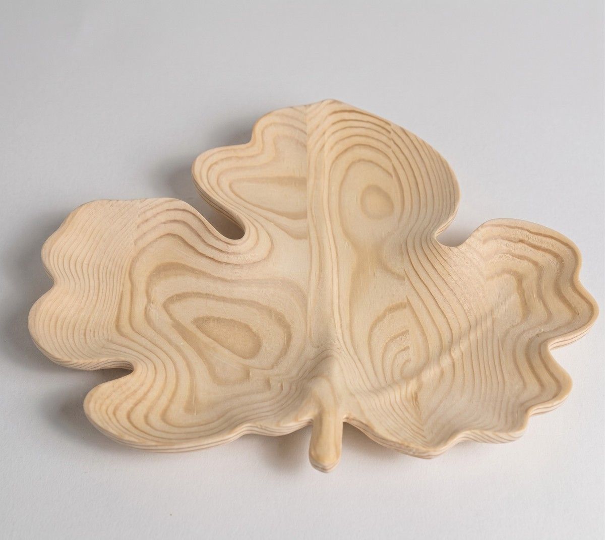 Leaf-shaped tray(Image3)